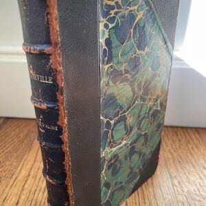 1889 L’Avenir d’Aline by Henry Gréville – French Antique Leather Book